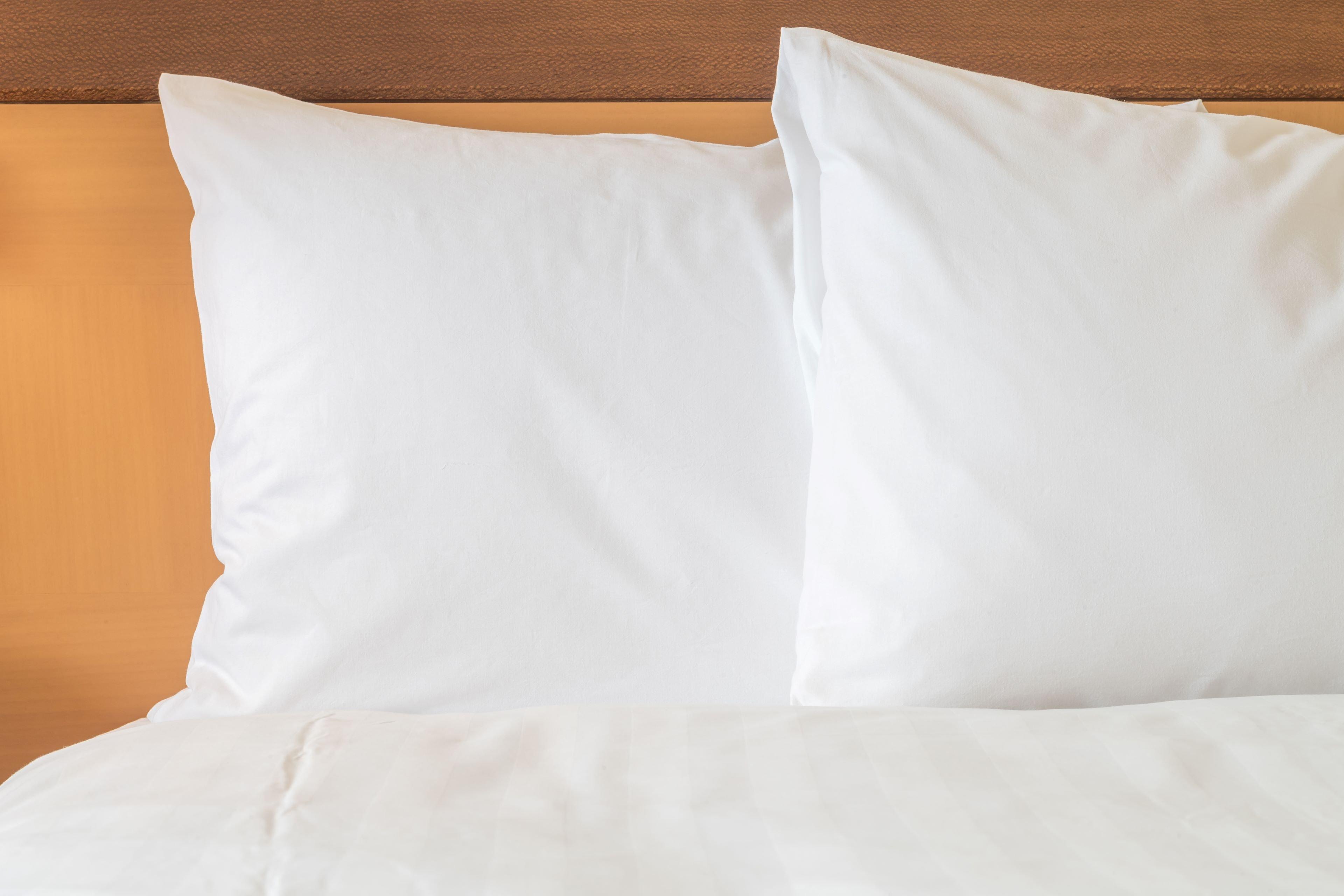 מיסיסאוגה Holiday Inn Express & Suites Toronto Airport West By Ihg מראה חיצוני תמונה